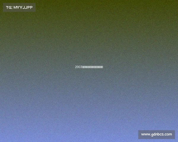 2003火箭辉煌赛季姚明闪耀征程回眸